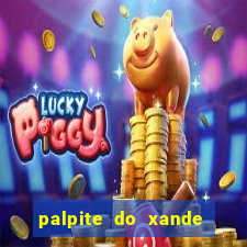 palpite do xande para hoje